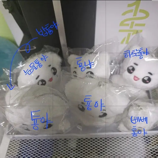 nct 태용 인형 양도 판매 툥야 툥냐 3개남음