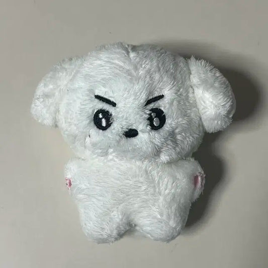 크래비티 민희 인형 깨뭉이