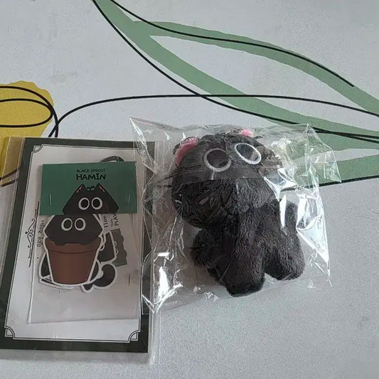 플레이브