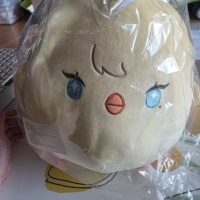 플레이브