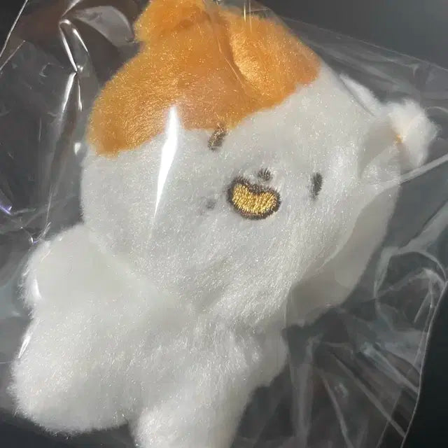 지성 포켓찌