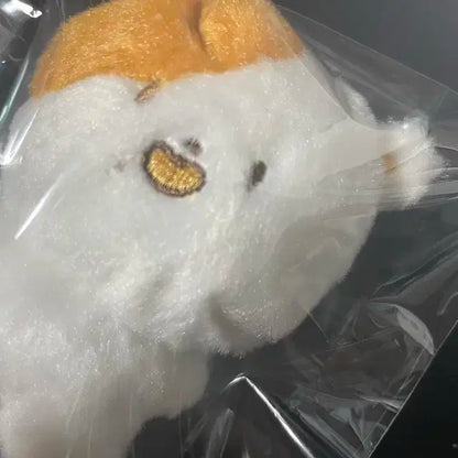 지성 포켓찌