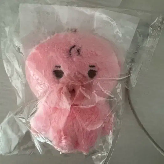 더보이즈 선우 인형 떤꼬 새상품 원가양도