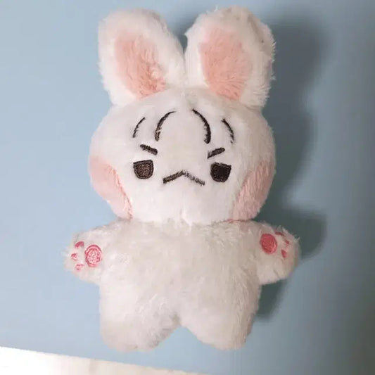이창섭 10cm 솜인형 섭깽이