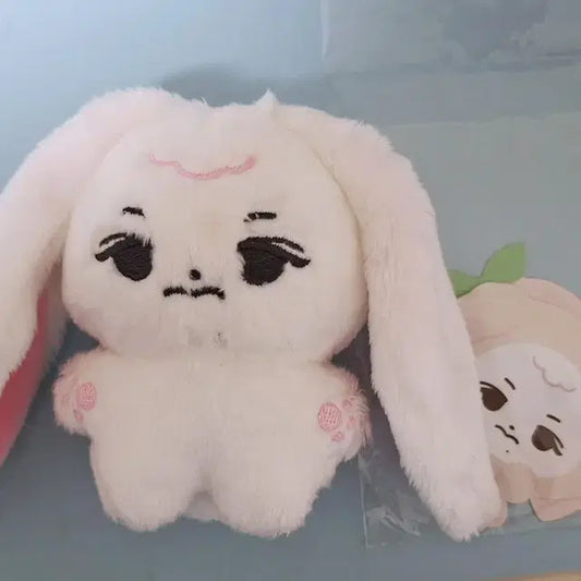 이창섭 10cm 솜인형 찹콩 콩투비