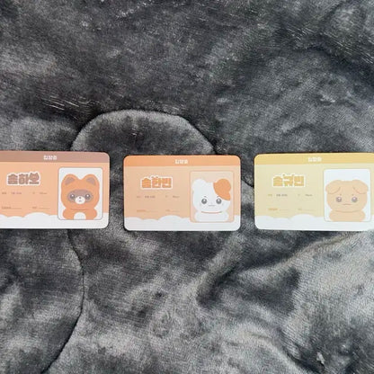 제베원 솜베원(한빈, 하오, 규빈) / 입양증 O