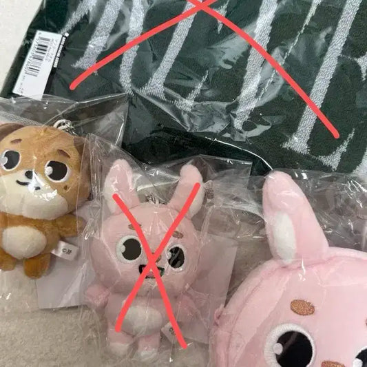 데이식스 포에버영 일본 굿즈 MD