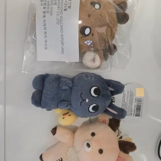 라이즈 성찬인형 정밤비