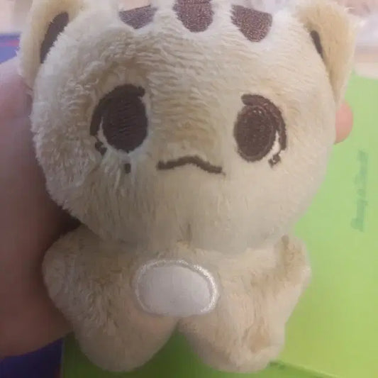 윤정한 인형