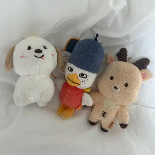 라이즈 인형 똘병이 멍룡이 우락밤