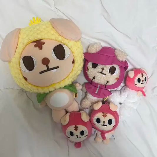 크래비티 크크루 랑모 양도