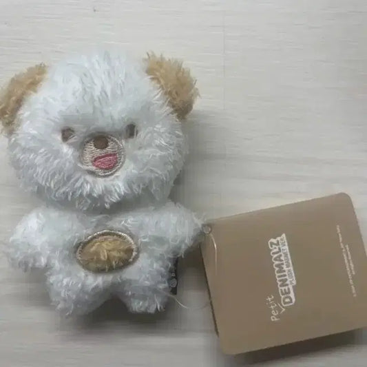 데이식스 쁘띠멀즈 돈 마그넷