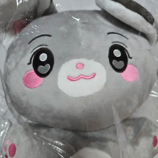 엔시티드림 런쥔 생카 럭드 인형 40cm
