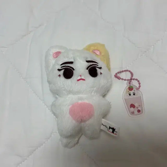 제로베이스원 리키 인형 제베원 심리키 심냥이