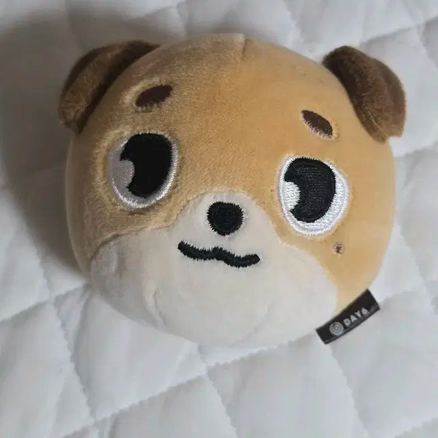 데이식스 데니멀즈 스트레스볼 돈 도운