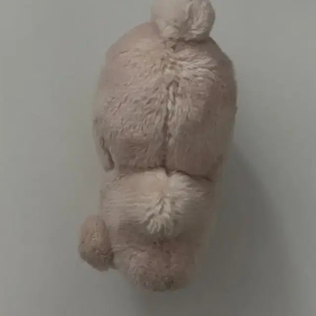 더보이즈 현재 인형 횬도리 양도