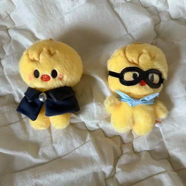 뽁아리 미니 파일럿