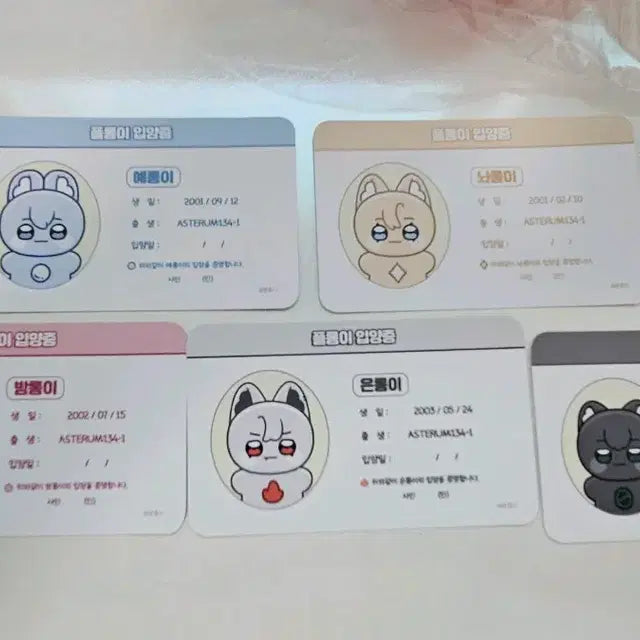 플레이브 비공식 인형 원가양도