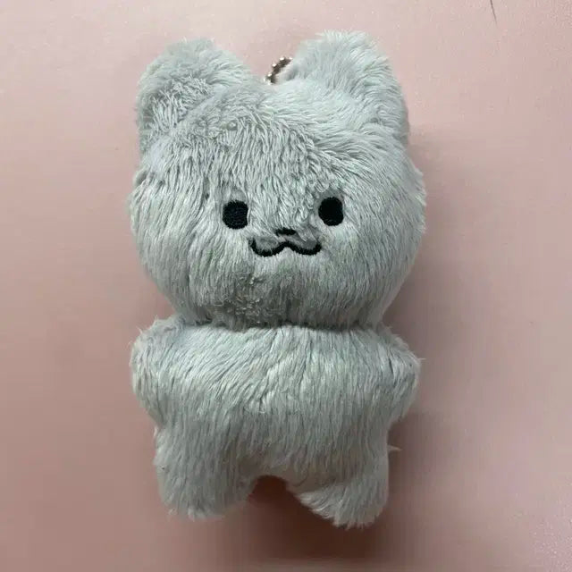더보이즈 주연 쥬냥이 인형