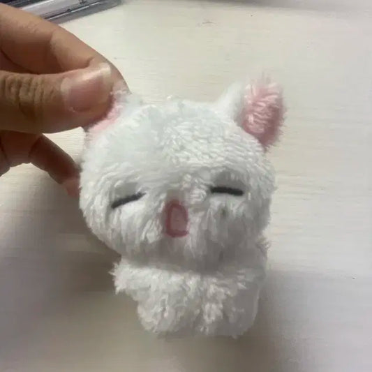 짱누누 팝니다!