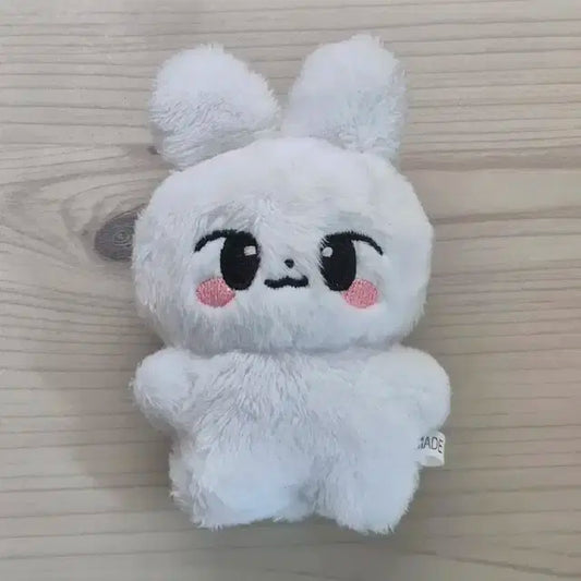 급처) 스키즈 스트레이키즈 10cm 인형 뽀리 리노 양도