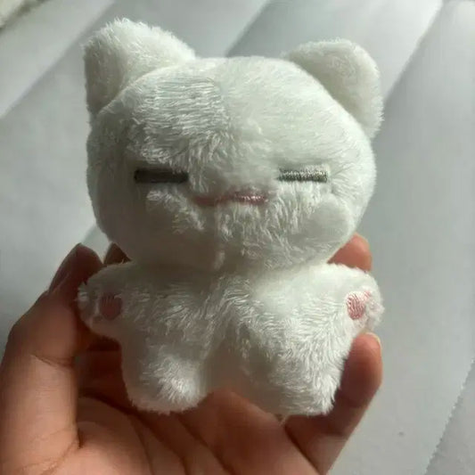 뾰얗이 판매합니다