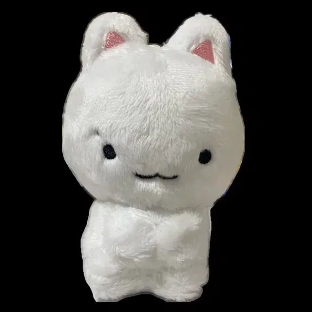 주연 예의바른 쭈톨이 인형 더보이즈 tofu