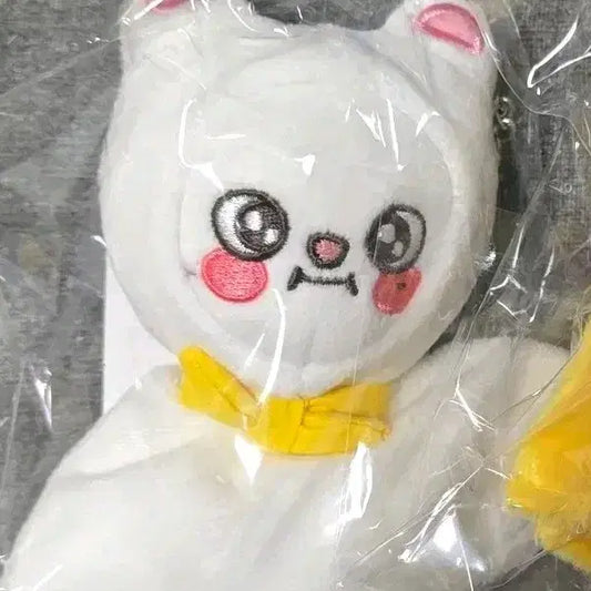 스키즈 뽁아리 용복 지니렛 현진 스트레이키즈 스키주 시즈오카 양도 일본