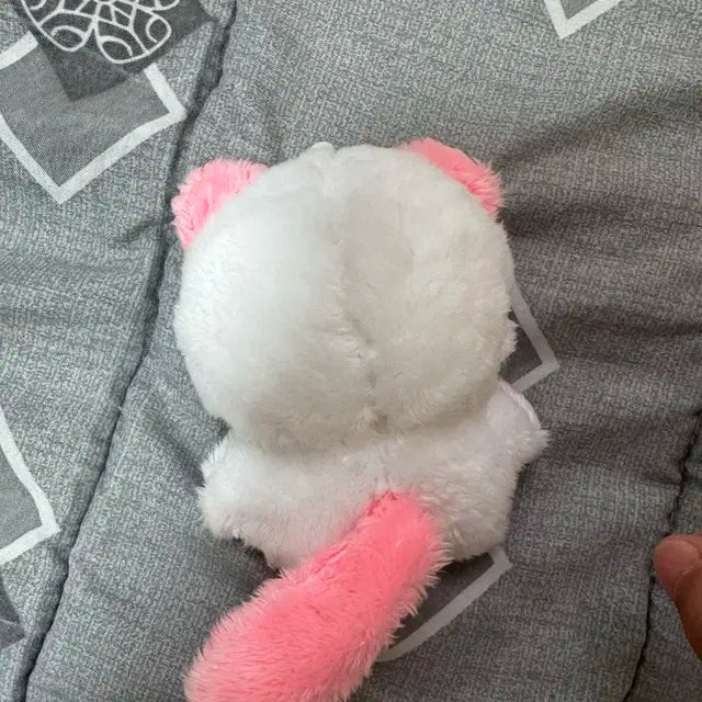 냥빈이 성한빈 인형