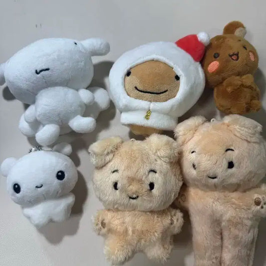 보이넥스트도어 운학 인형 판매합니다
