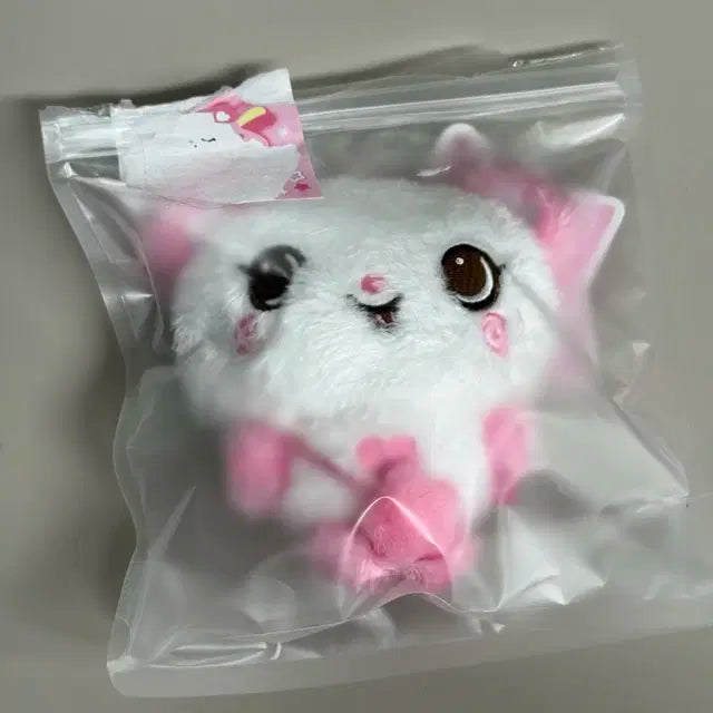 위시돌 팡 팔아용