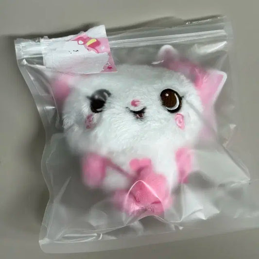 위시돌 팡 팔아용