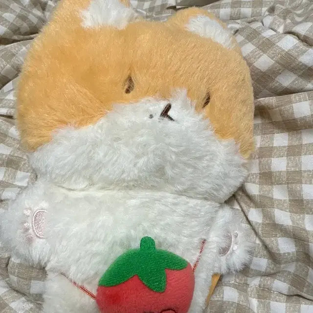 터래기 양도합니다