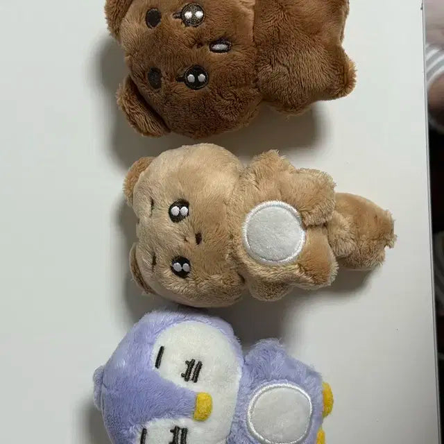 뽀바투 뽀송텬 말랑닝 뽀송밤