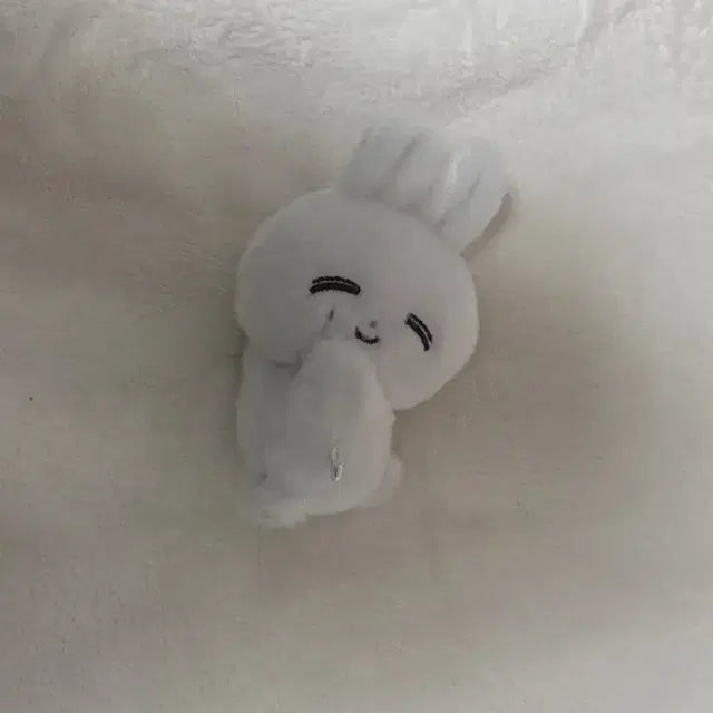눕쫑이 양도