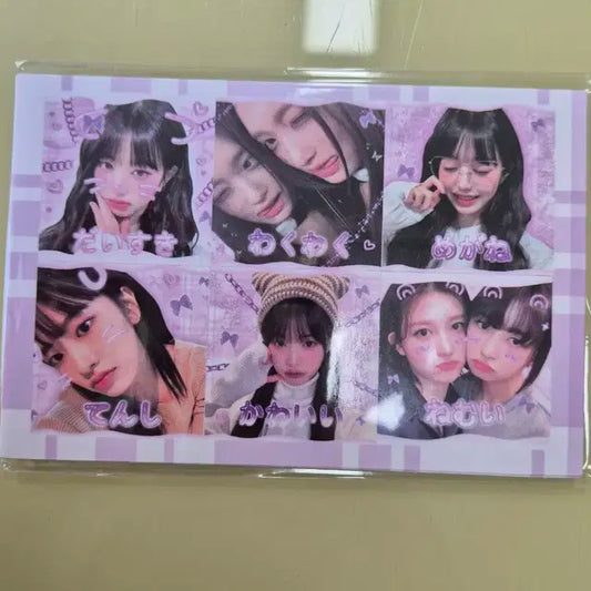 아이브 프리쿠라 비공굿