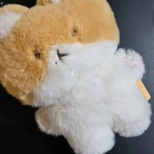 백현 터래기 인형