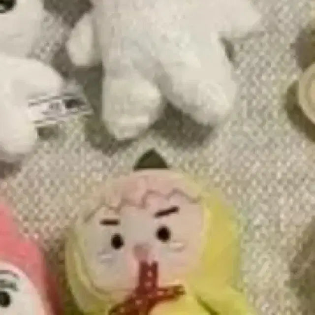 엑소 백현 세훈 인형 일괄양도합니다!! 배쿠멈머 오뺙이