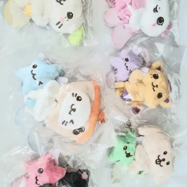 미니돌 위시돌 응원키링 엔시티위시  버블냥 쿠리 시오닝