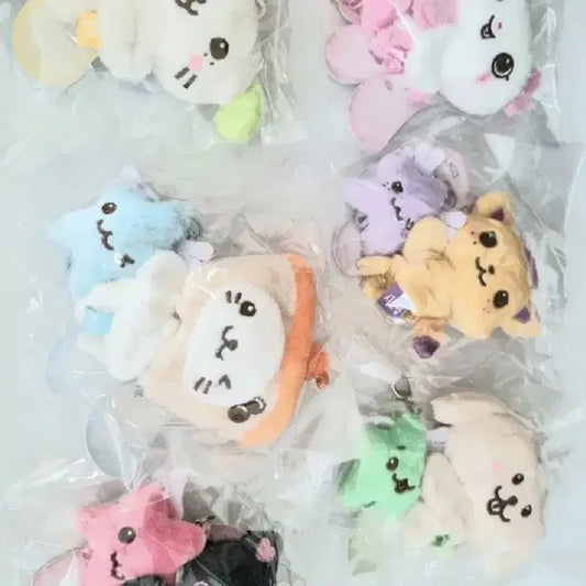 미니돌 위시돌 응원키링 엔시티위시  버블냥 쿠리 시오닝