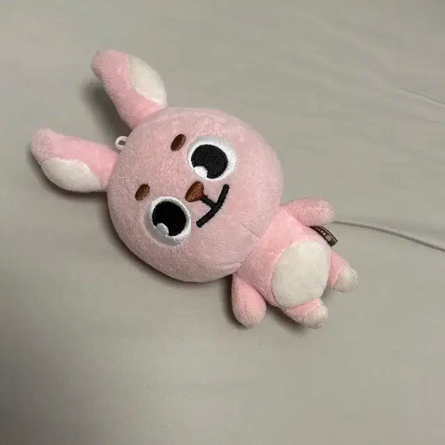 필끼 원필 인형 20필끼 쁘띠멀즈 판매