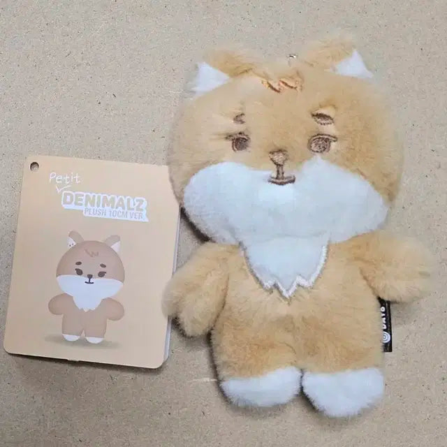 데이식스 쁘띠멀즈 케