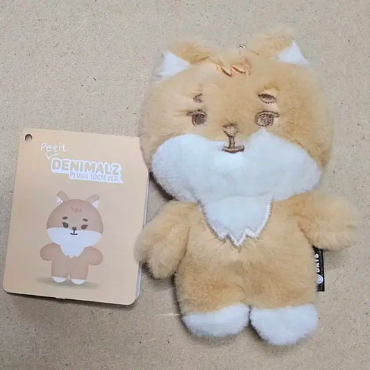 데이식스 쁘띠멀즈 케