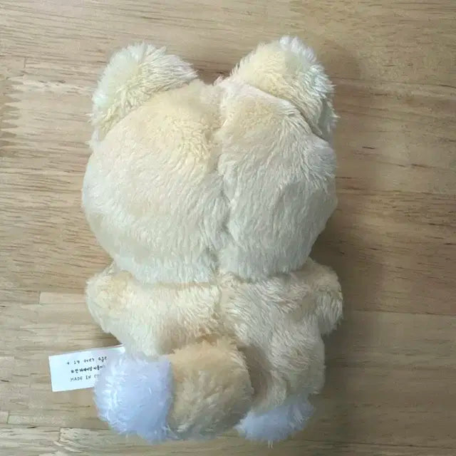 데이식스 영케이 인형 비공굿 케냥이
