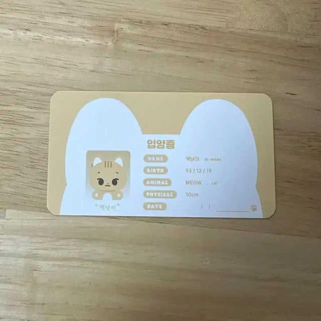 데이식스 영케이 인형 비공굿 케냥이