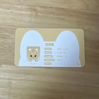 데이식스 영케이 인형 비공굿 케냥이