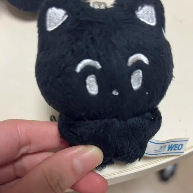 애옹냥 양도