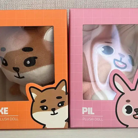 2024 데이식스 데니멀즈 케 필 양도