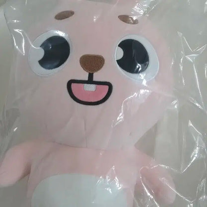 데이식스 자이언트 데니멀즈 필