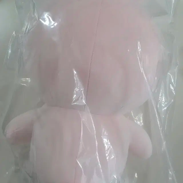 데이식스 자이언트 데니멀즈 필